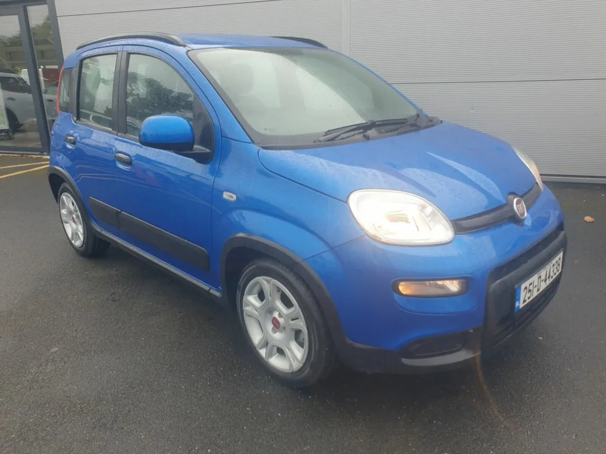Fiat Panda 1.0 Petrol Mild Hybrid - Image 4