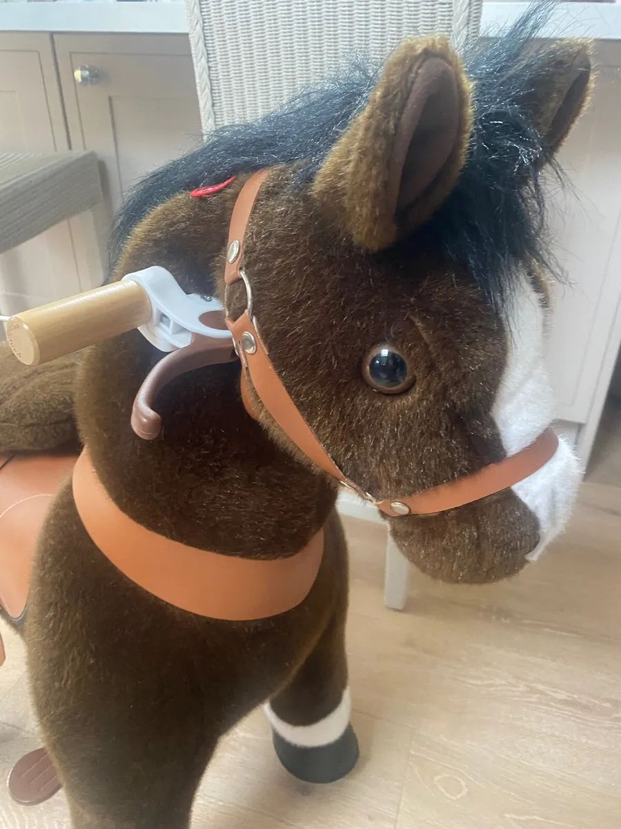 Pony Cycle - Image 2