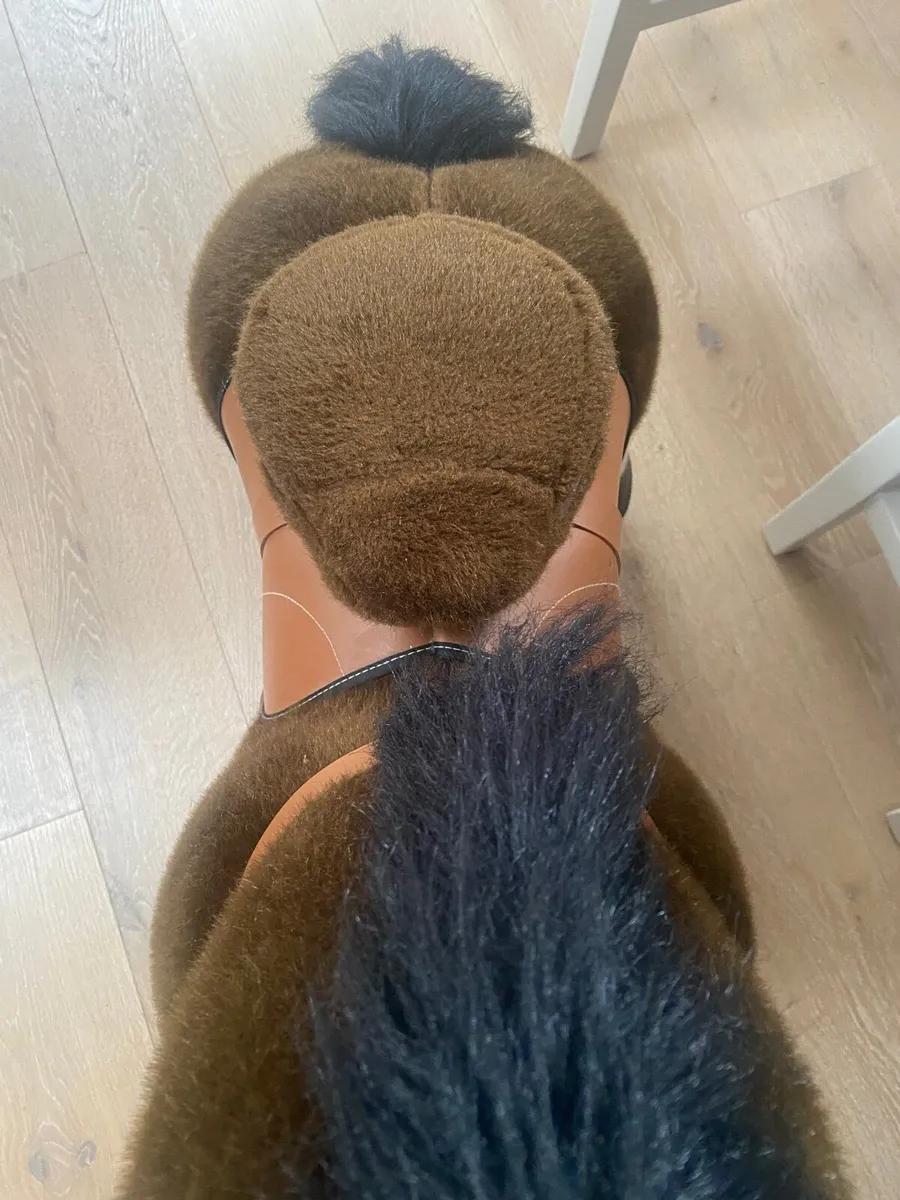 Pony Cycle - Image 3