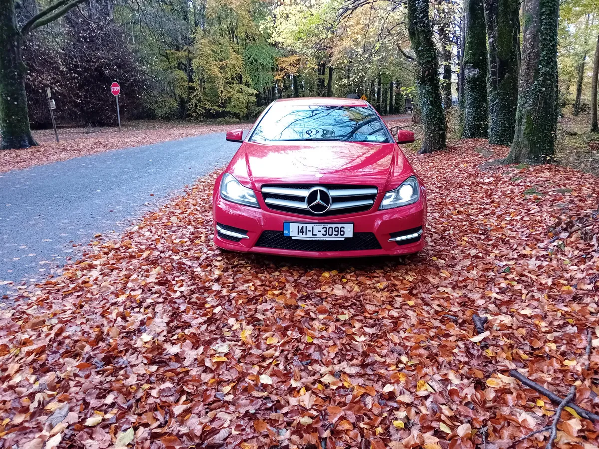 141 MERCEDES  C220D AMG SPORT 6 SPEED - Image 2