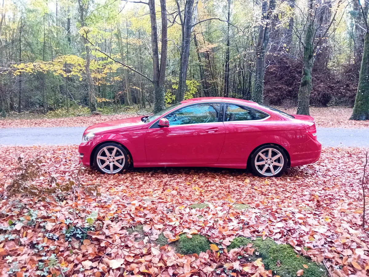 141 MERCEDES  C220D AMG SPORT 6 SPEED - Image 4
