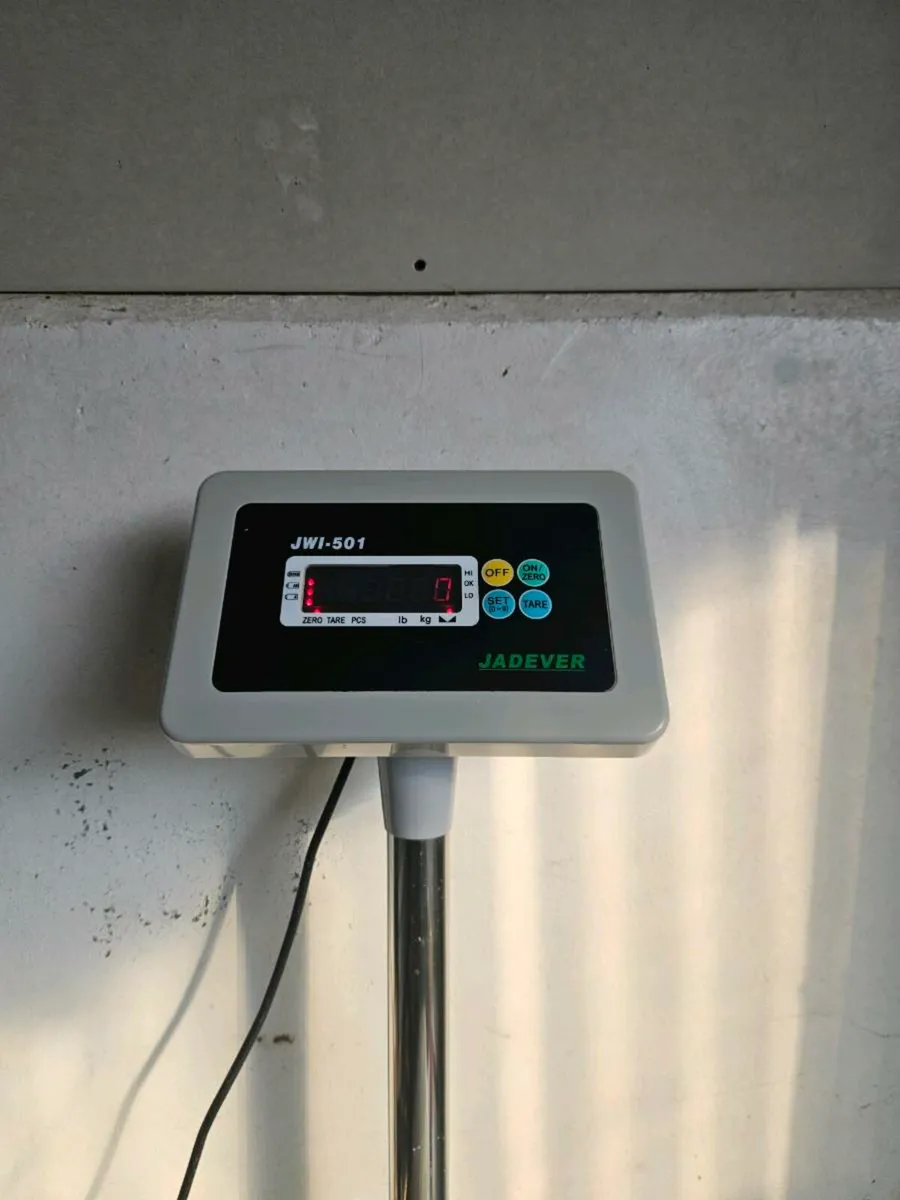 Weighing scale Jadever jwi-501 - Image 2