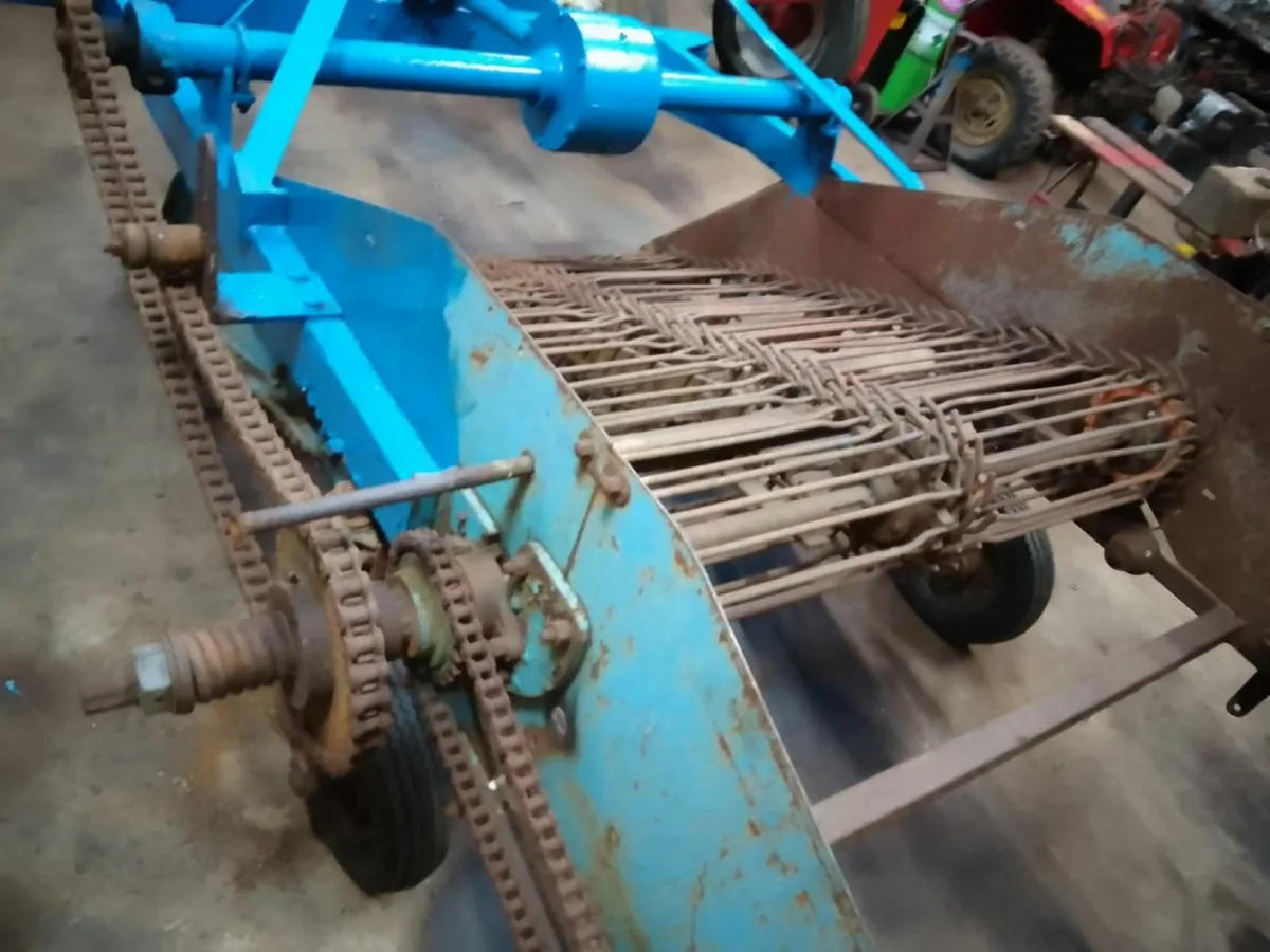 Elevator Diggers, potato spinners, harvesters - Image 2