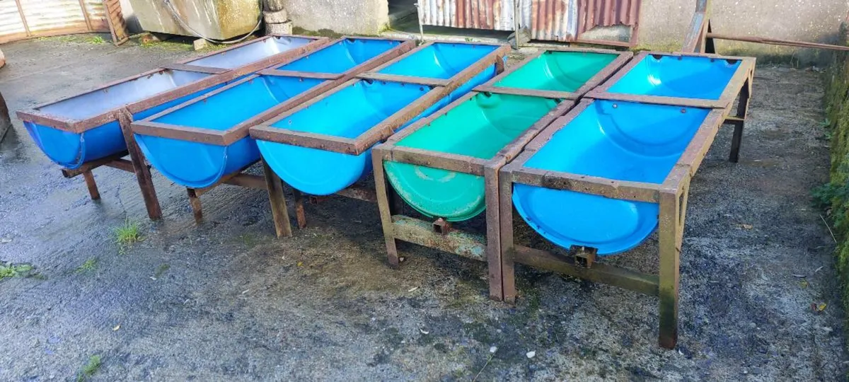 Multiple Feeding Equipment & De-Horning Crate - Image 1