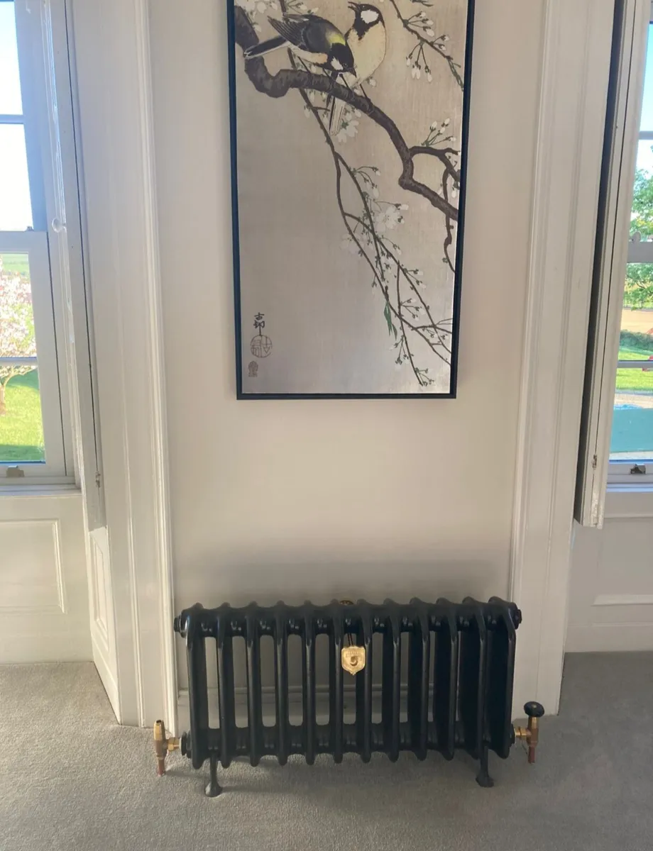 Cast Iron Radiator 🔥Fully Restored 🔥 All Sizes - Image 4