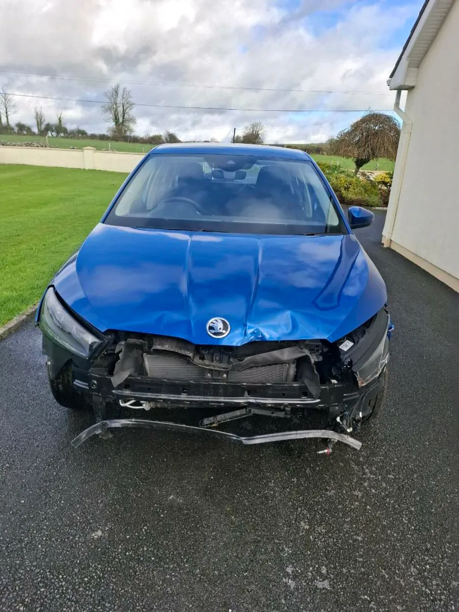 241 fabia not recorded - Image 2