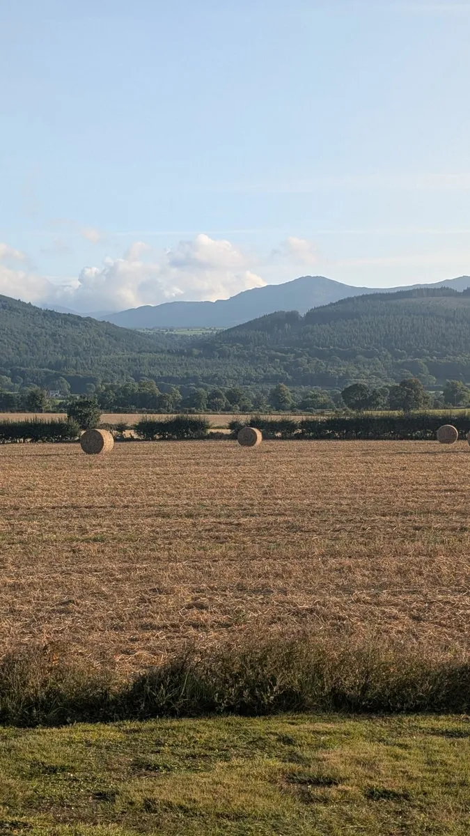 LAND WANTED for Cereals & Potatoes