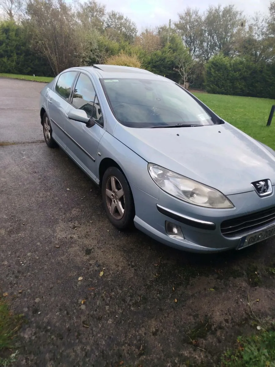 09 peogout 407 - Image 1