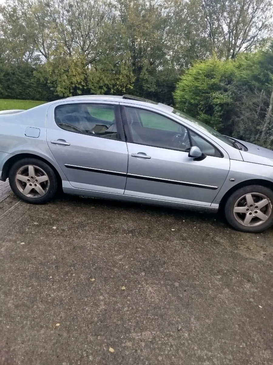 09 peogout 407 - Image 2