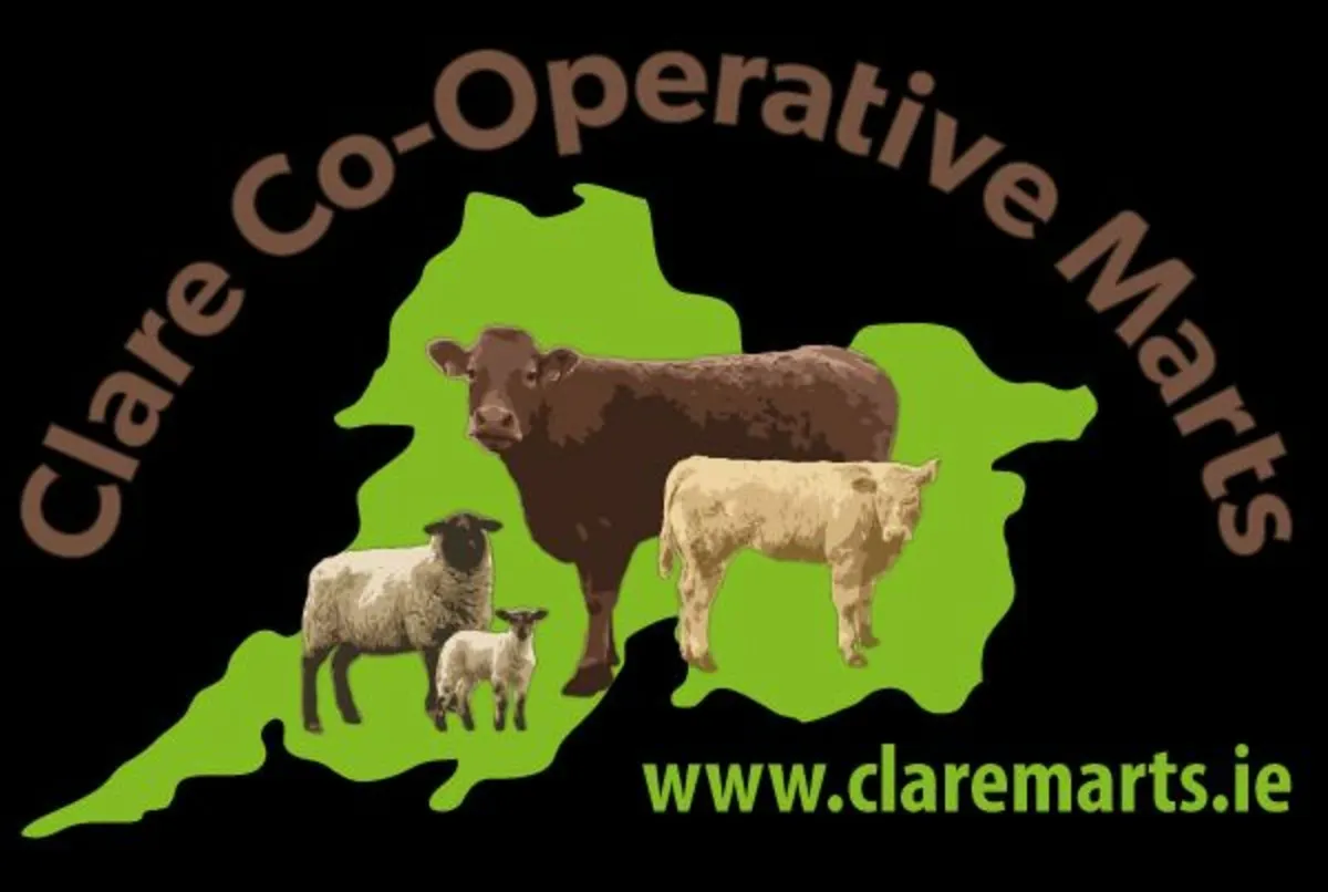 Kilfenora & Scariff Mart Saturday 1st November