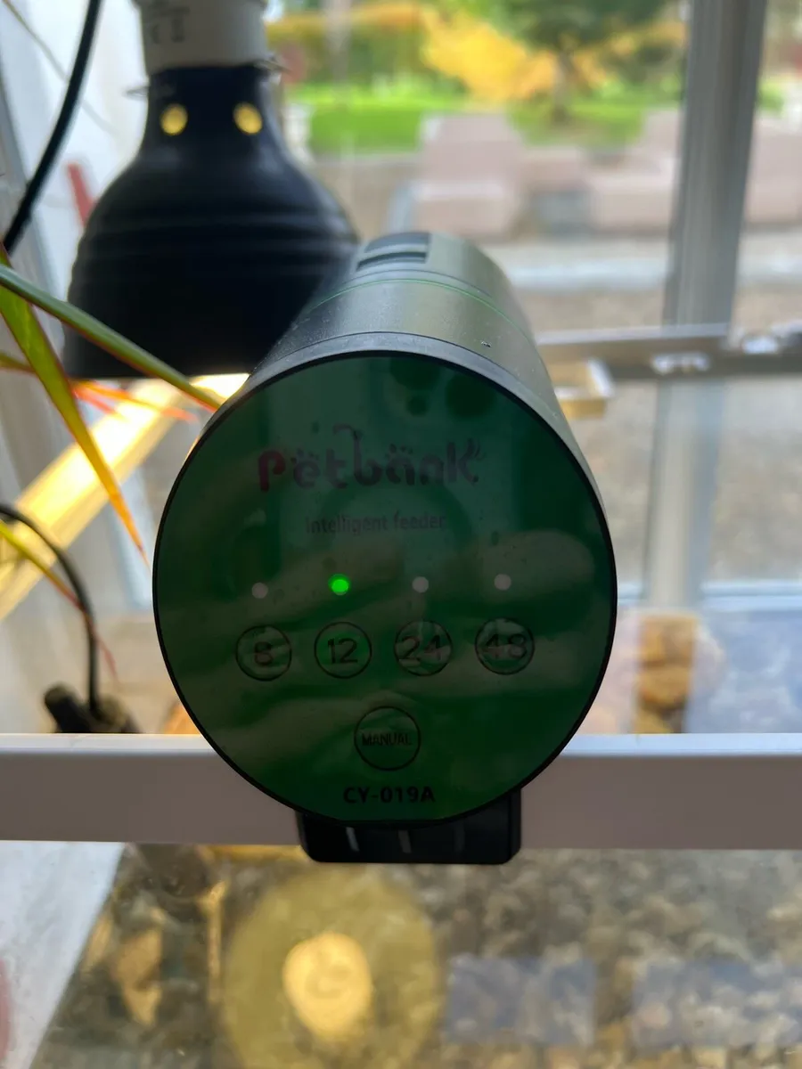 Musk turtle with tank and accessories - Image 2