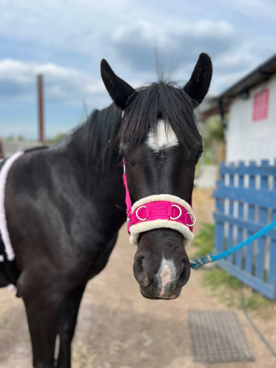 140cm 4 year old - Image 1