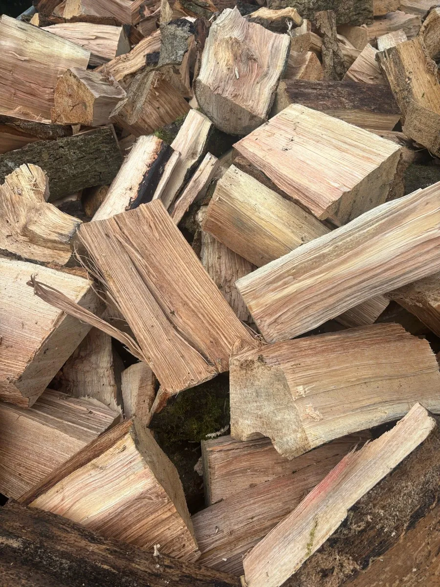 Top quality Firewood - Image 4