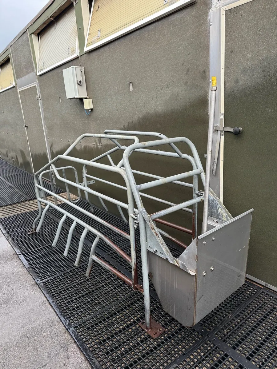 Pig Farrowing Crates - Image 1