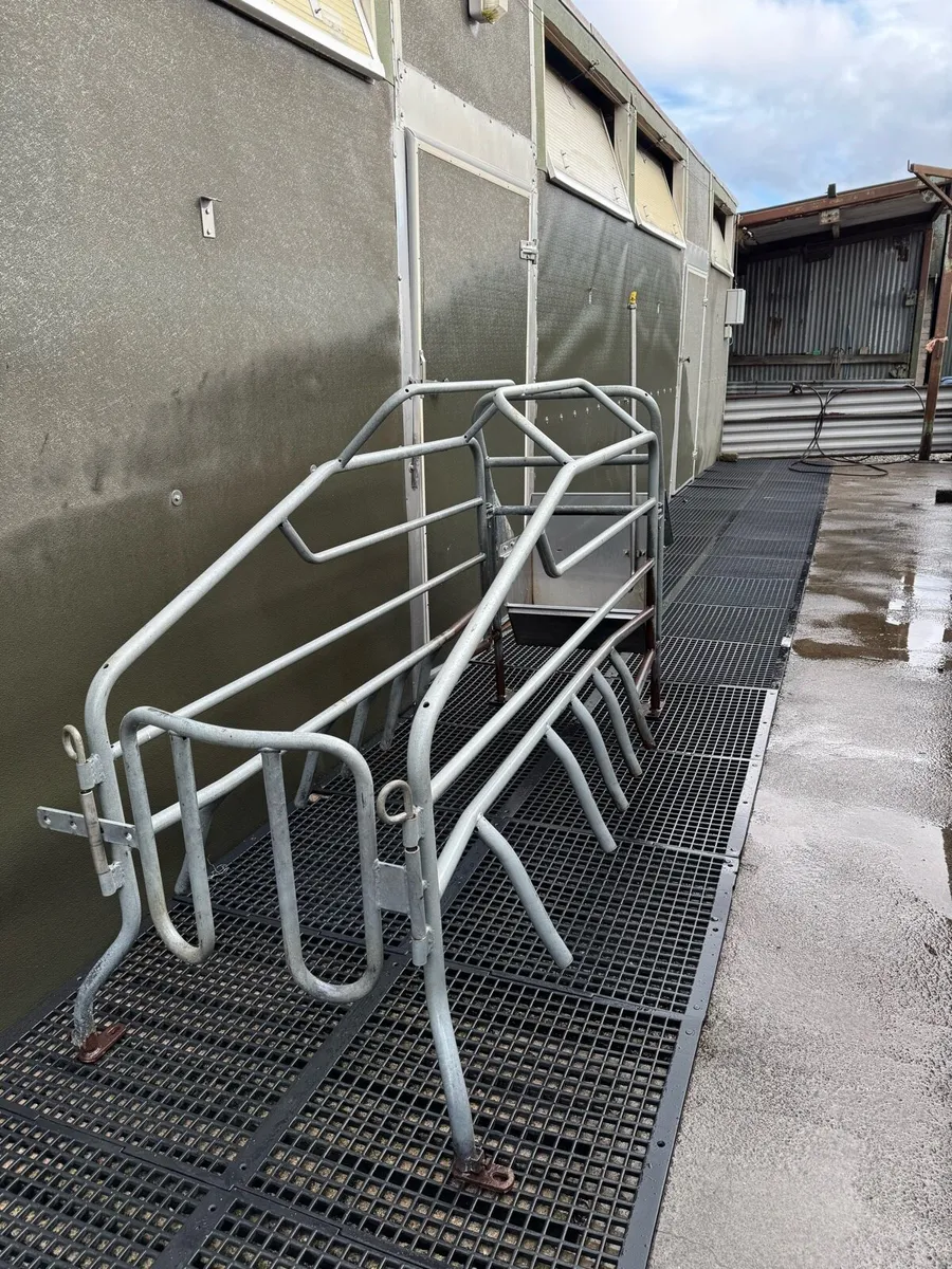 Pig Farrowing Crates - Image 2