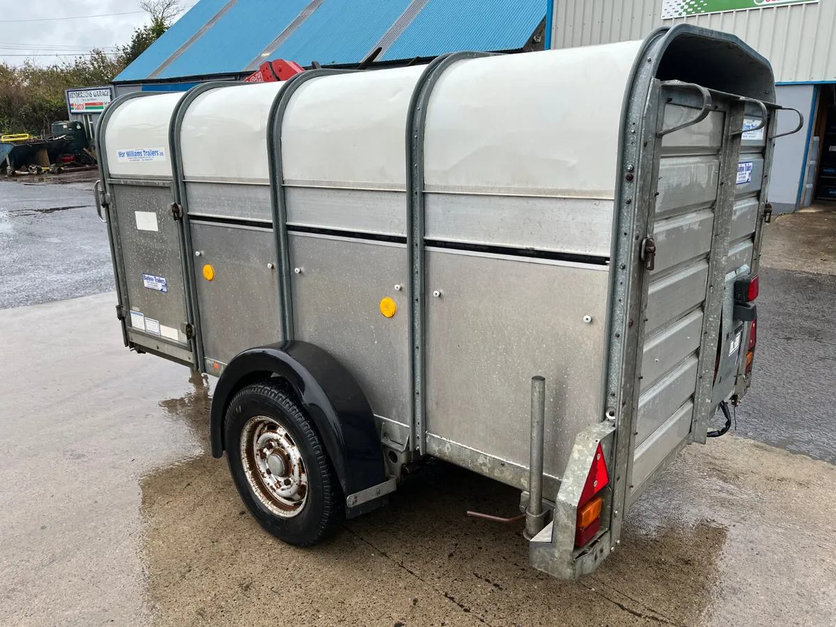 Ifor Williams P8 livestock trailer - Image 3