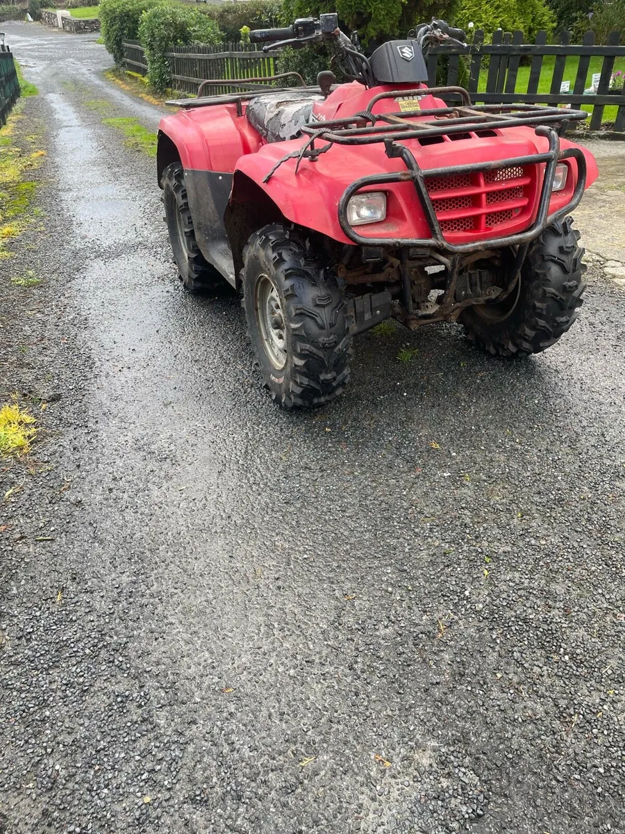 Suzuki Eiger 400 - Image 2