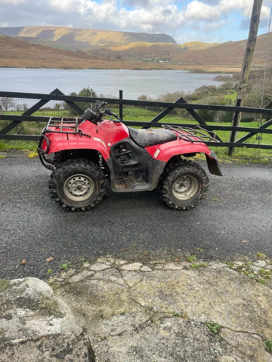 Suzuki Eiger 400 - Image 3