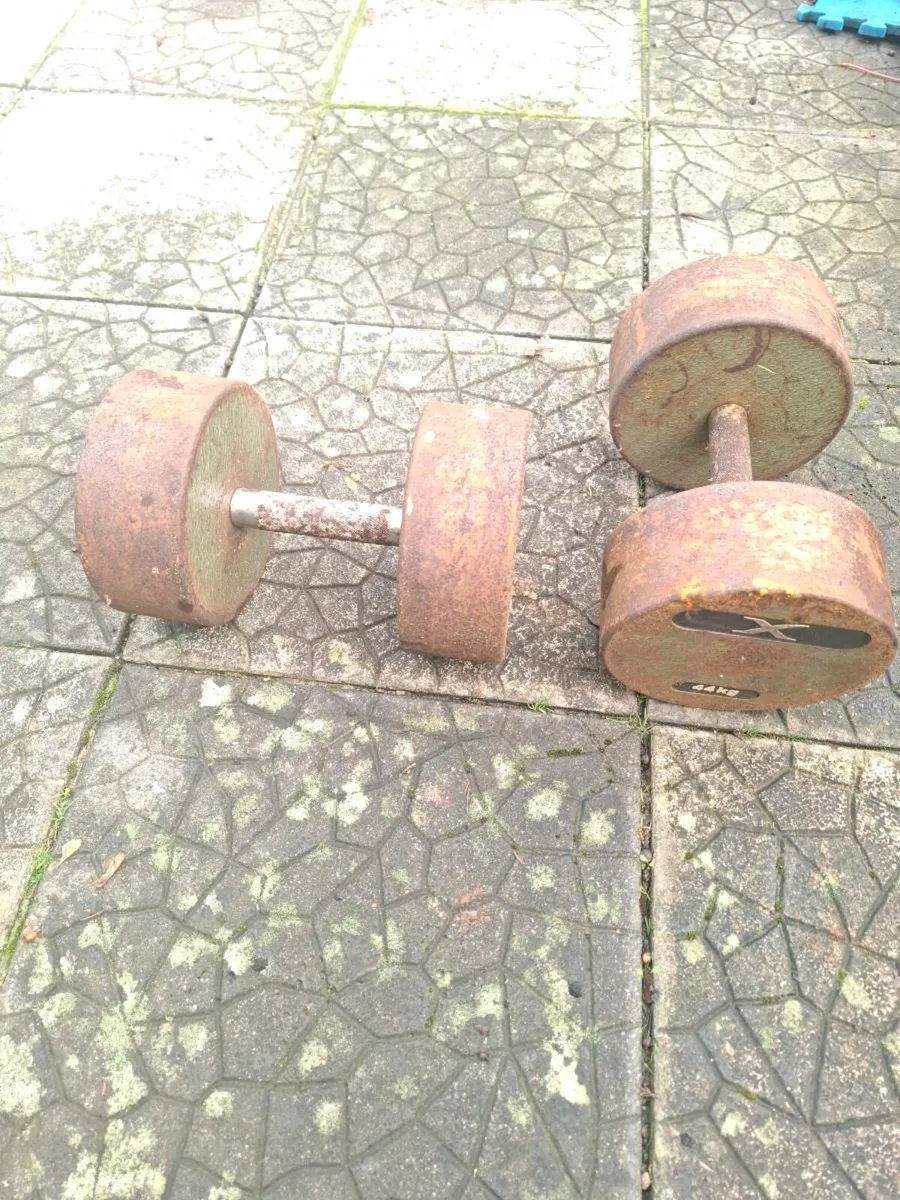 An Iron Pair of Dumbells for sale - Image 1