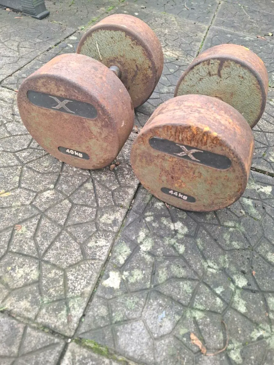 An Iron Pair of Dumbells for sale - Image 2