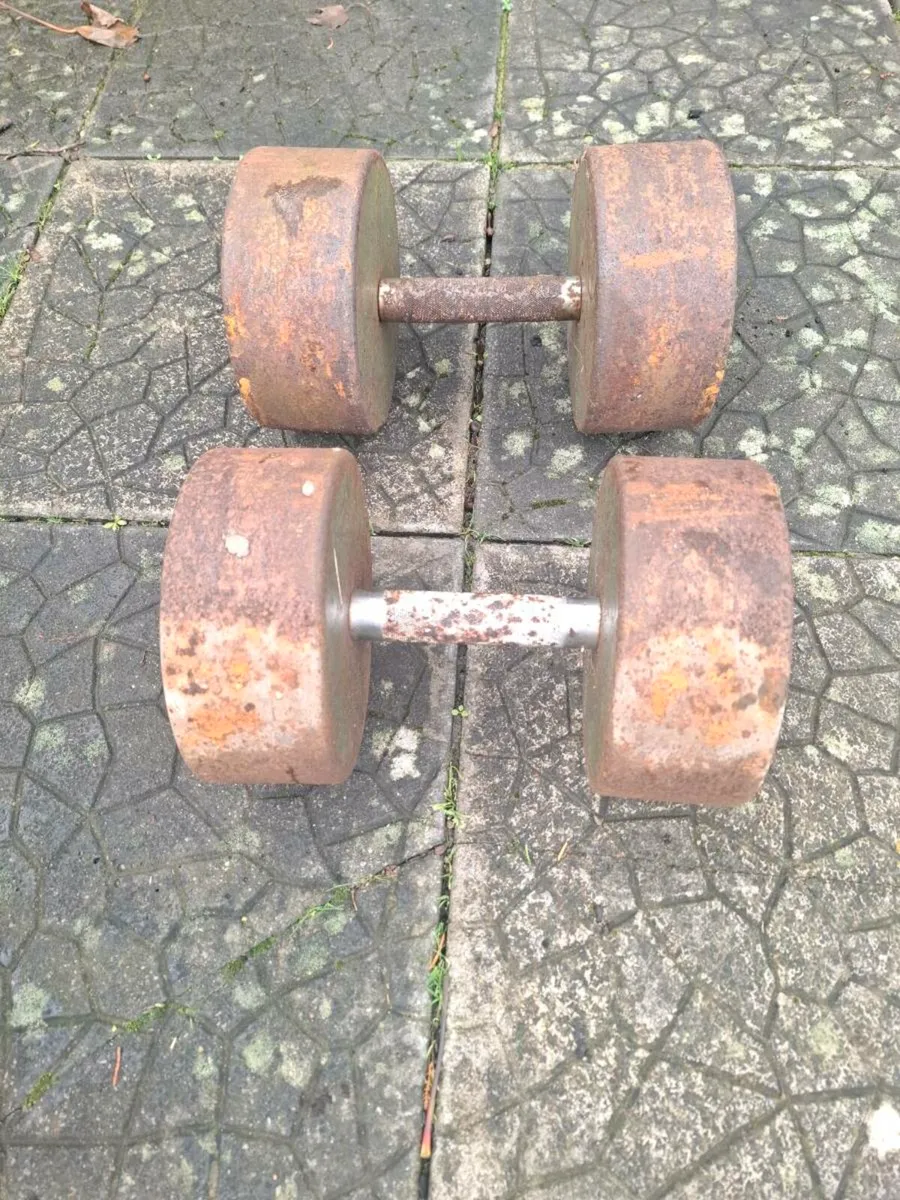 An Iron Pair of Dumbells for sale - Image 3