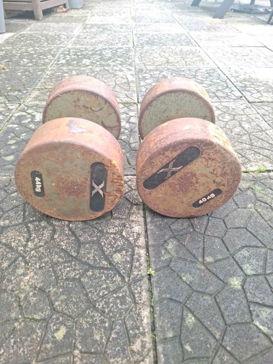 An Iron Pair of Dumbells for sale - Image 4