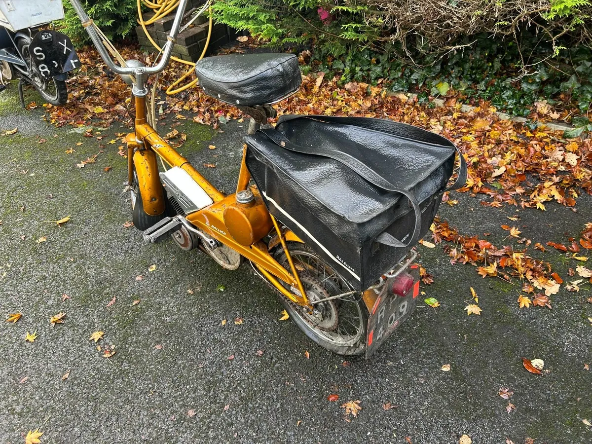 Two Raleigh Wisp for Sale - Image 1