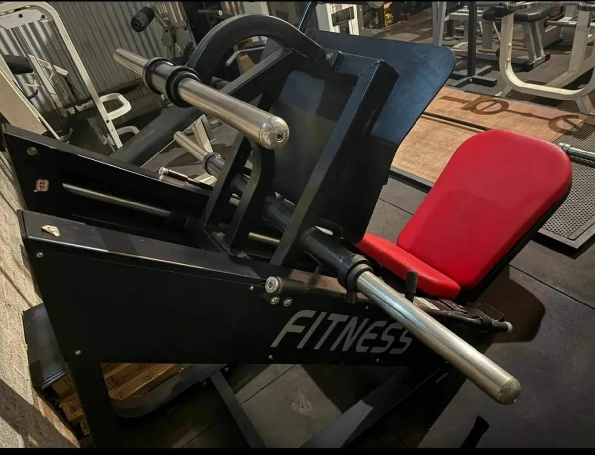 Apollo Fitness Linear Leg Press (Commercial Grade) - Image 3