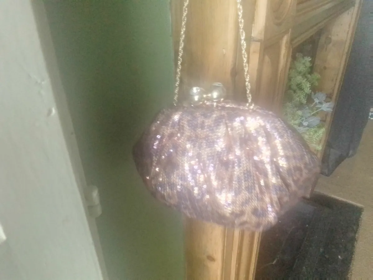 DUNE LEOPARD PRINT GOLD SEQUIN EMBELLISHED BAG NEW - Image 1