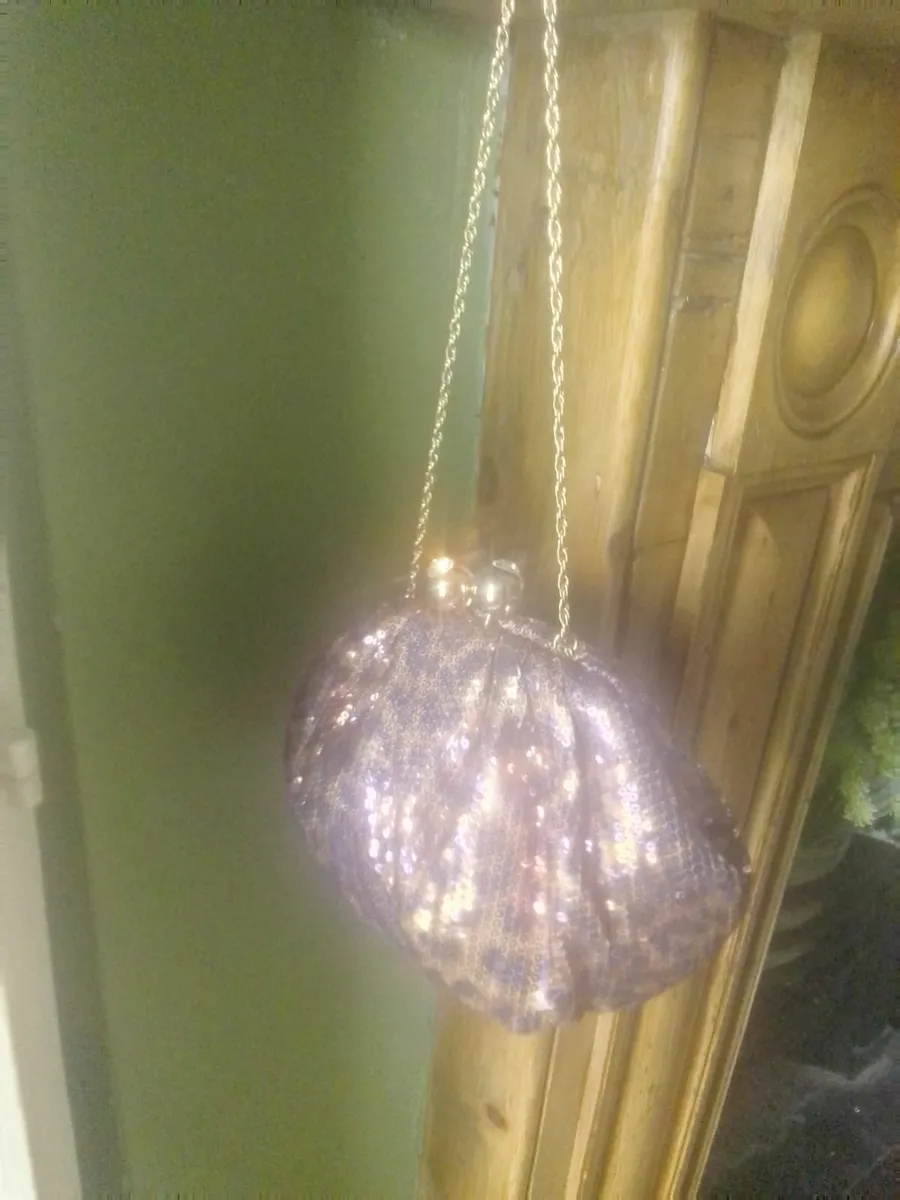 DUNE LEOPARD PRINT GOLD SEQUIN EMBELLISHED BAG NEW - Image 3