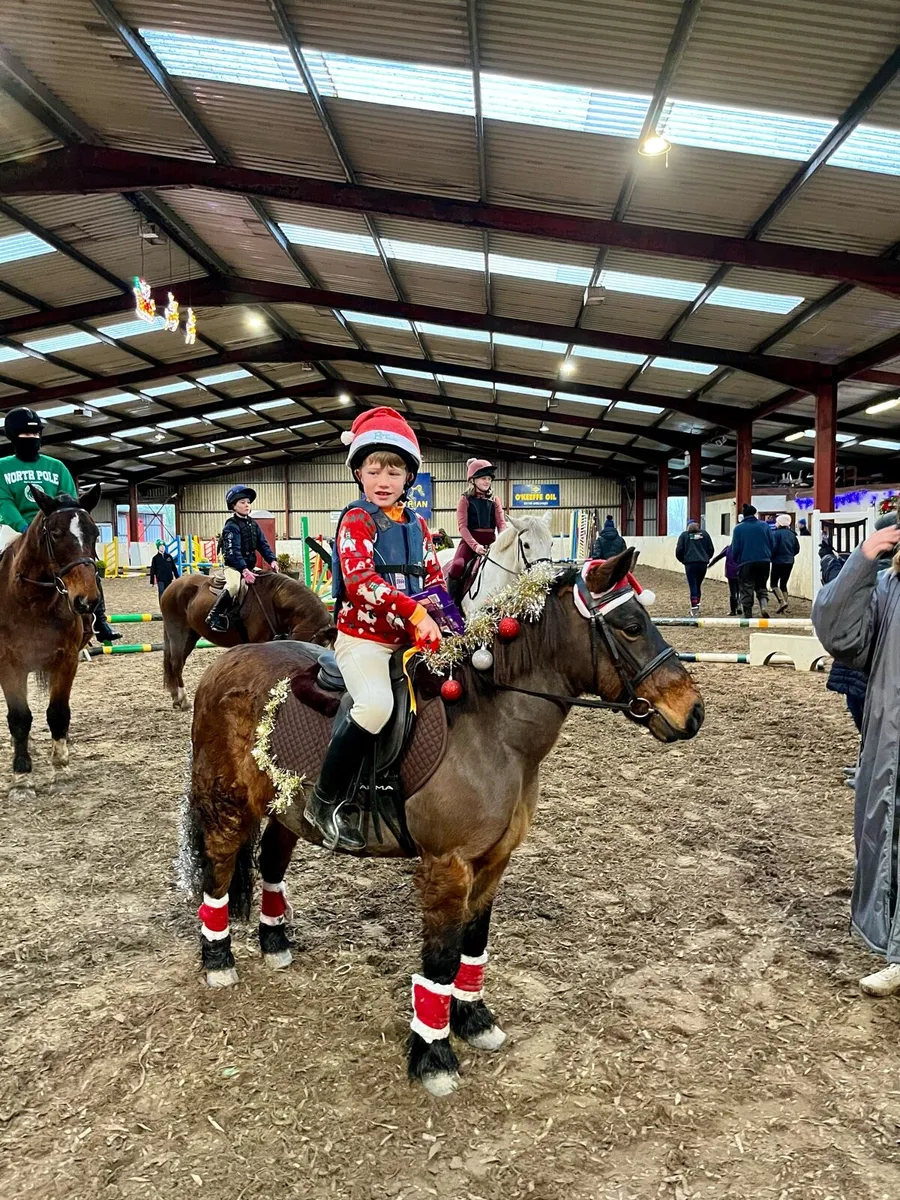 11.2 first pony - Image 2