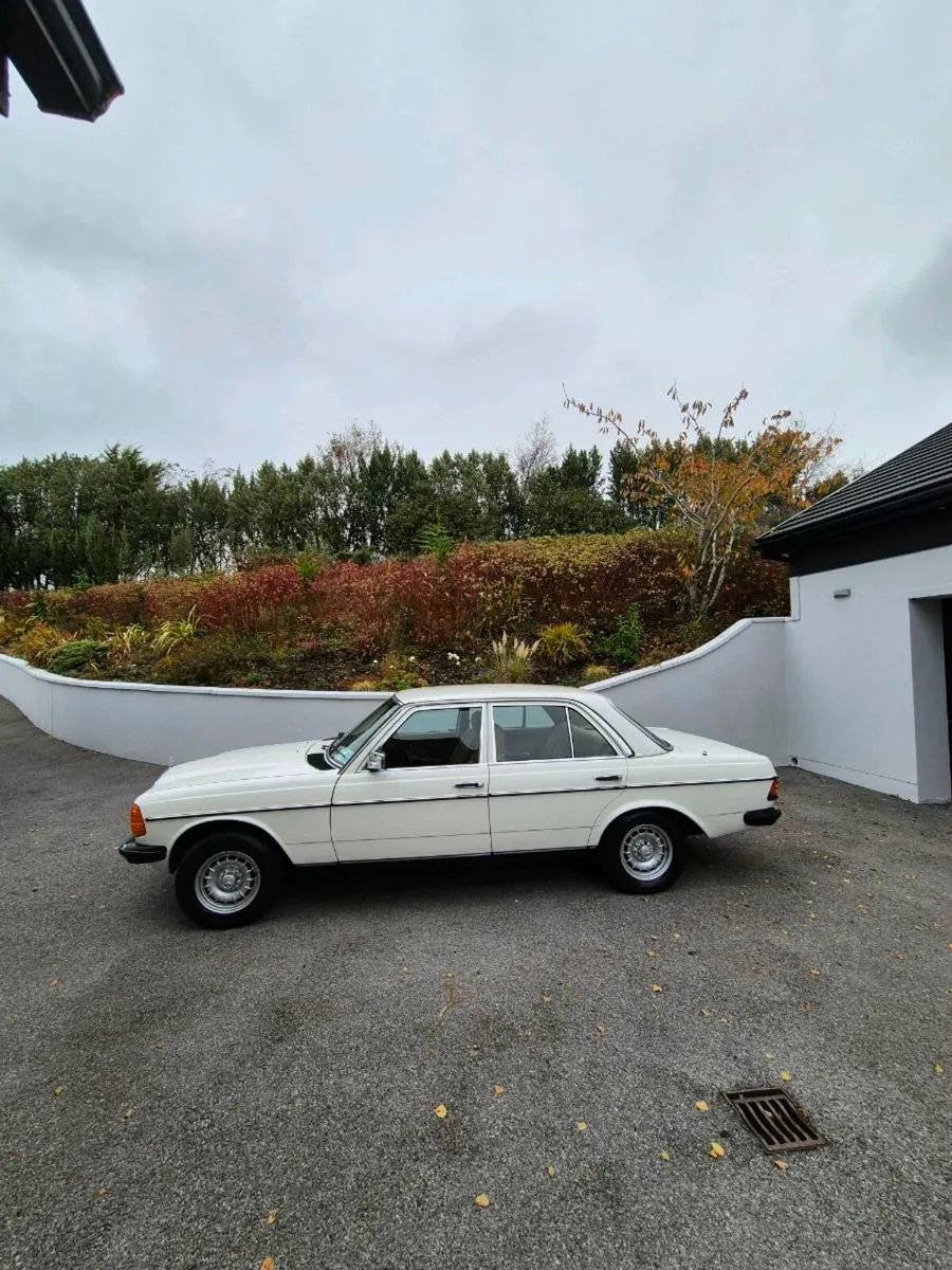 1984 Mercedes W123 2.3e - Image 2