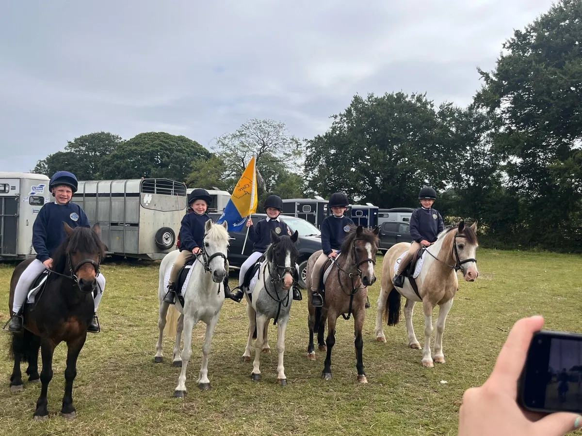 11.2 first pony - Image 3