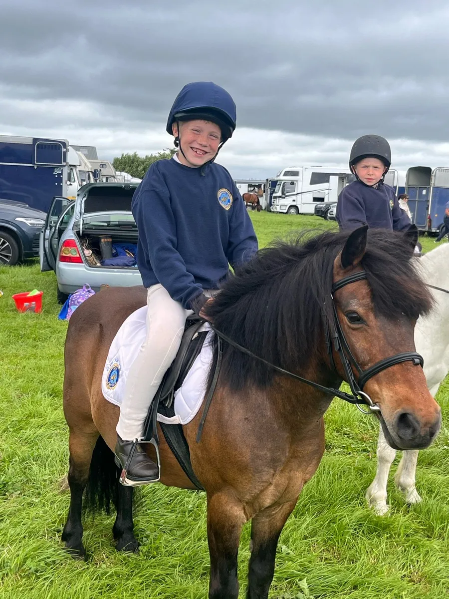 11.2 first pony - Image 1