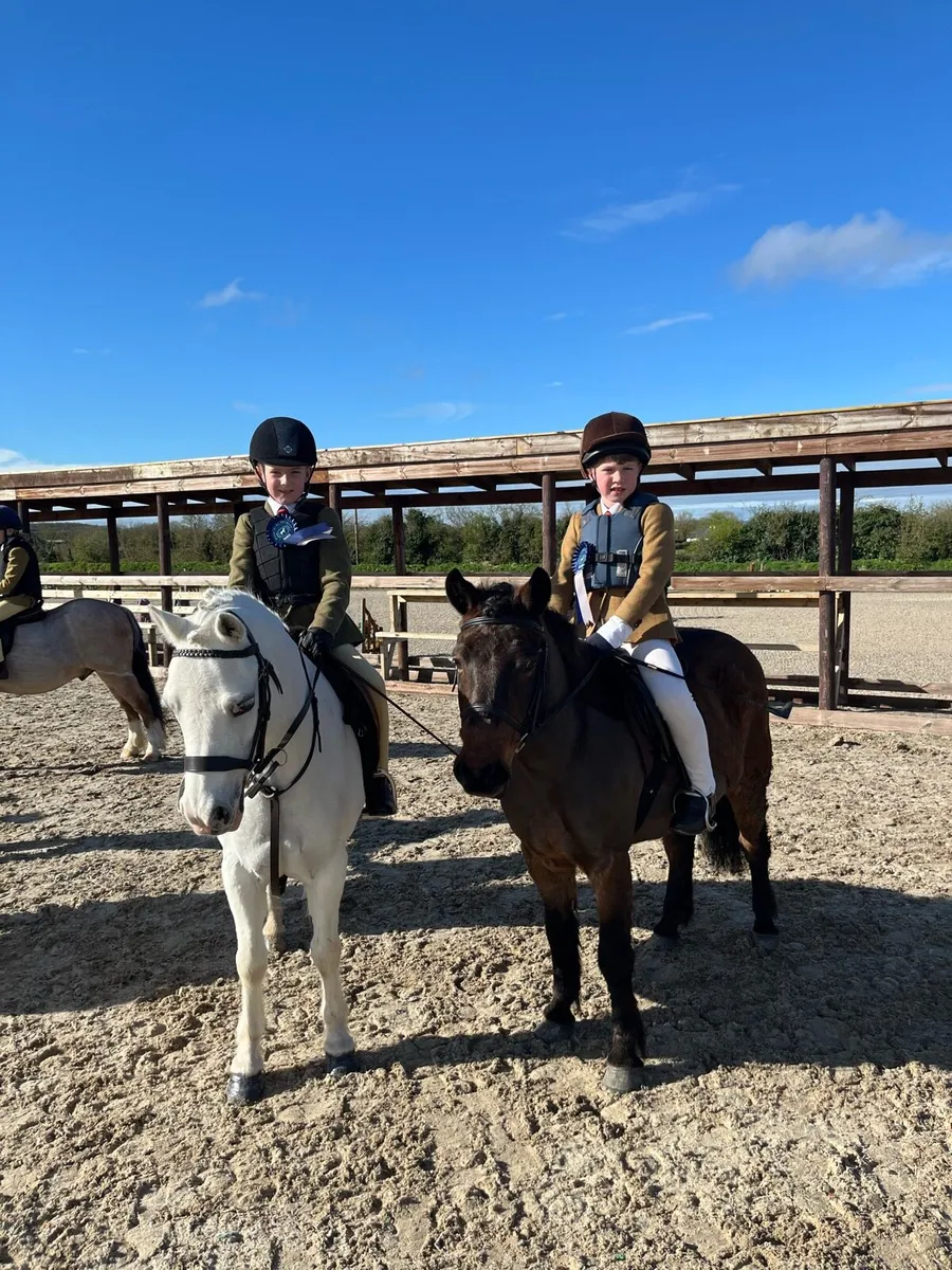 11.2 first pony - Image 4