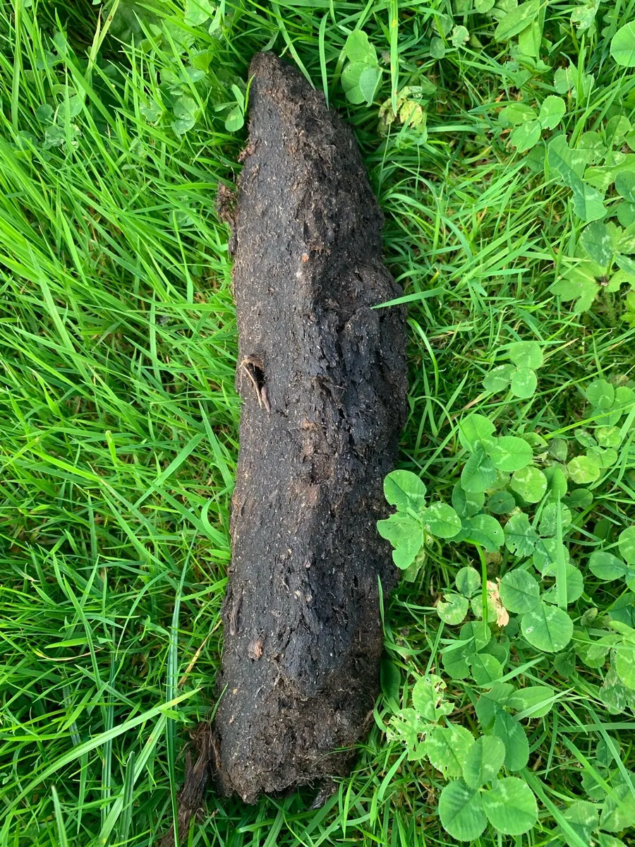 Solid fuel - Image 3