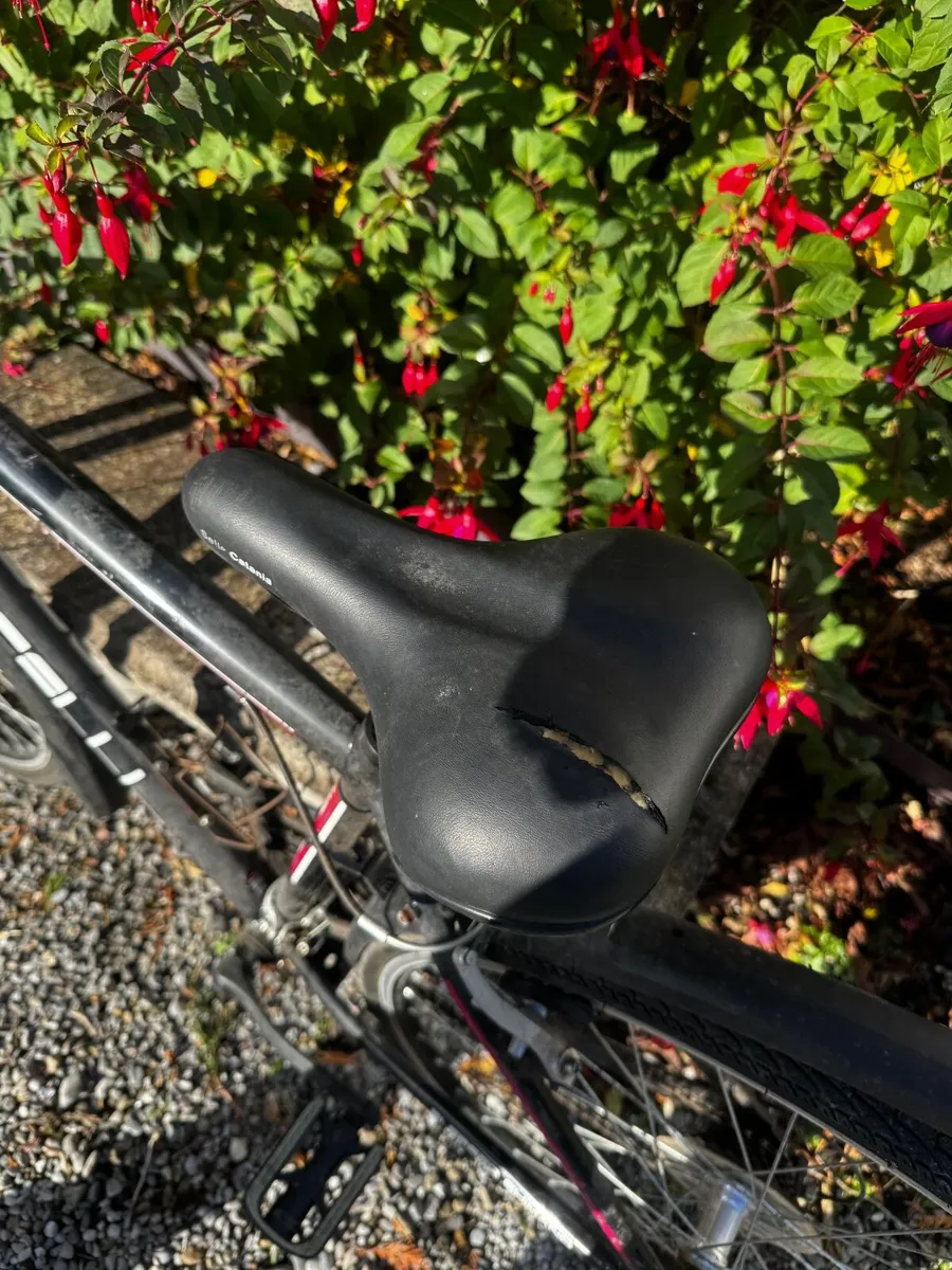 Vercelli Ambleside City Bike – 3 Speed Shimano – G - Image 3