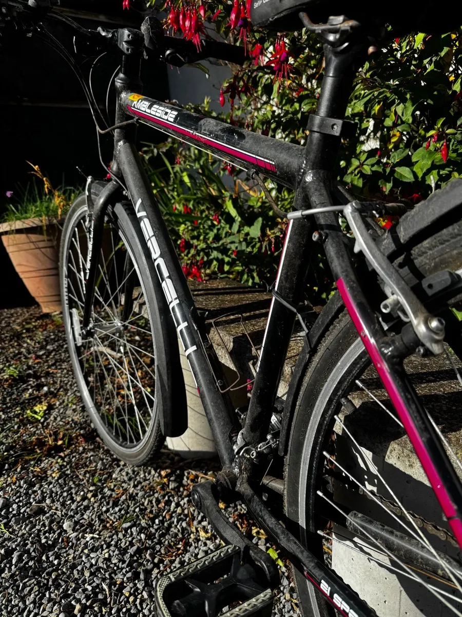 Vercelli Ambleside City Bike – 3 Speed Shimano – G - Image 4