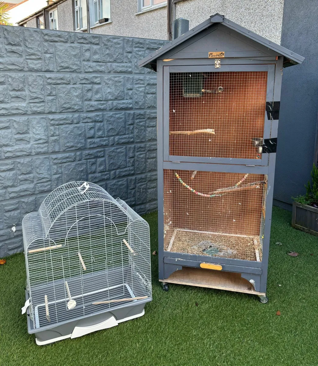 Birds - Image 2