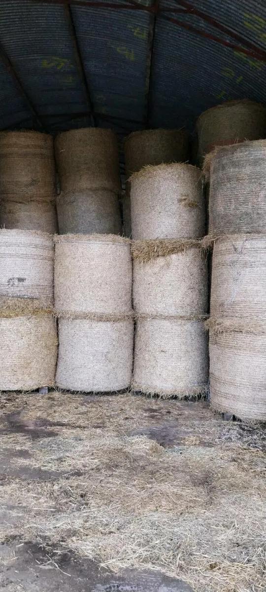 Hay ,straw & silage - Image 1