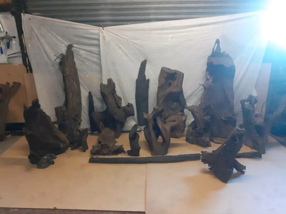 Bog Oak/ Bog Pine - Image 1