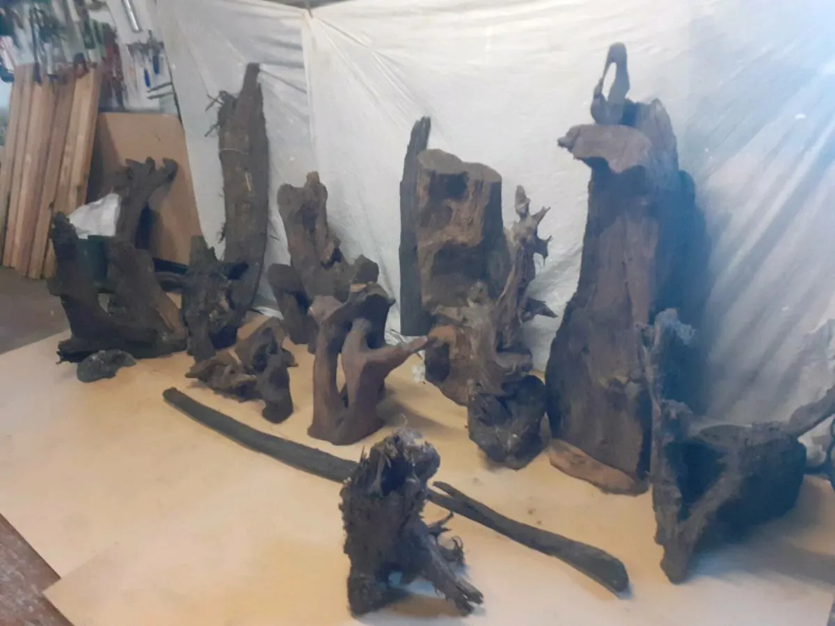 Bog Oak/ Bog Pine - Image 2