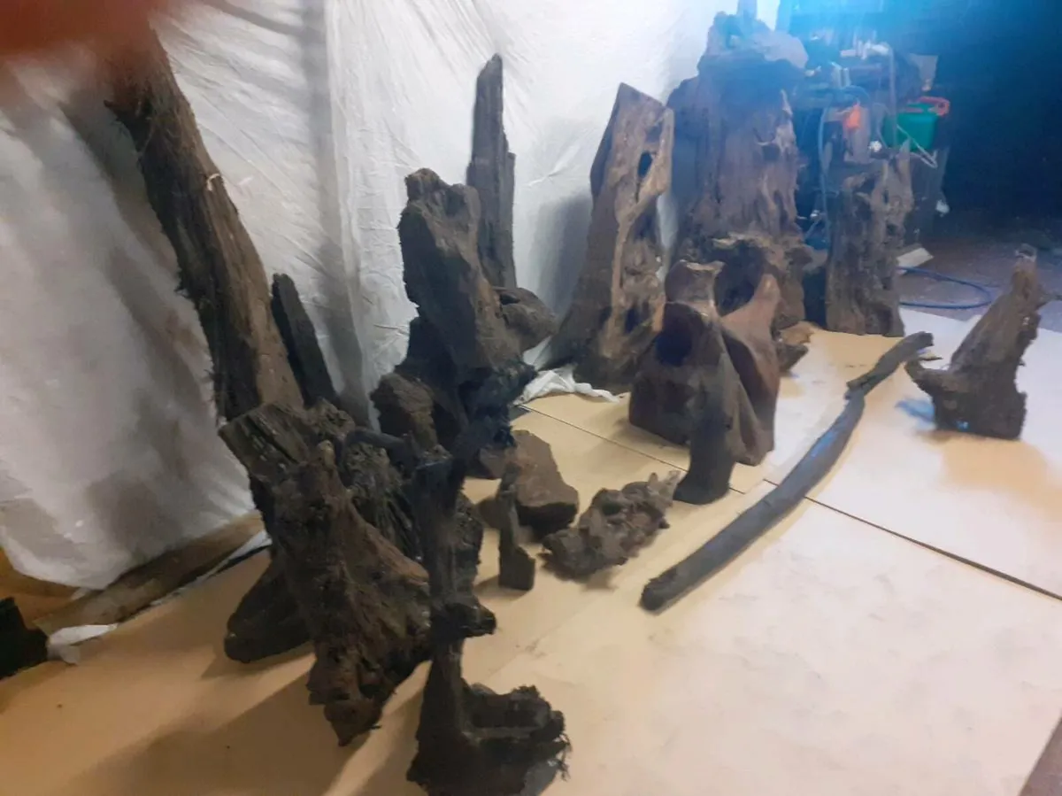 Bog Oak/ Bog Pine - Image 3