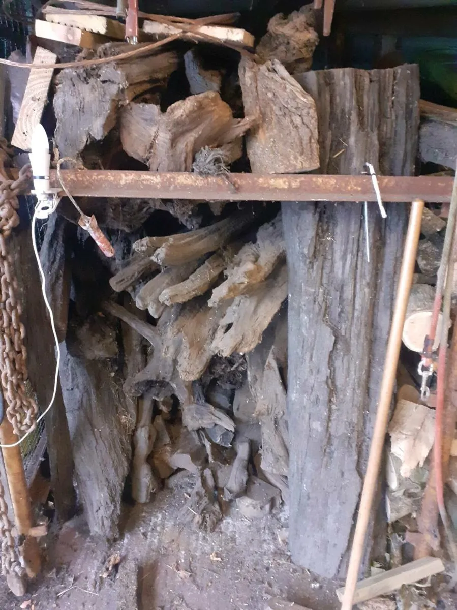 Bog Oak/ Bog Pine - Image 4