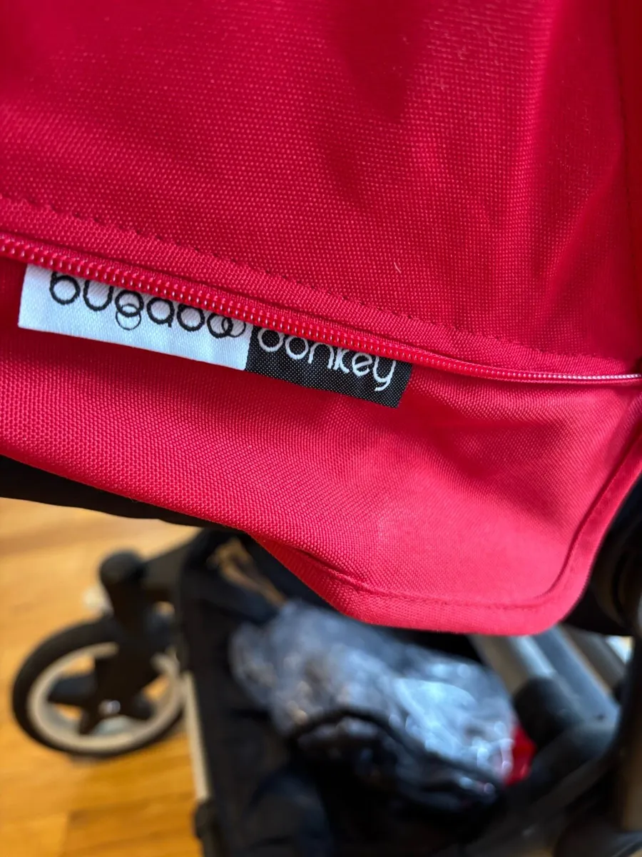 Buggy - Image 4