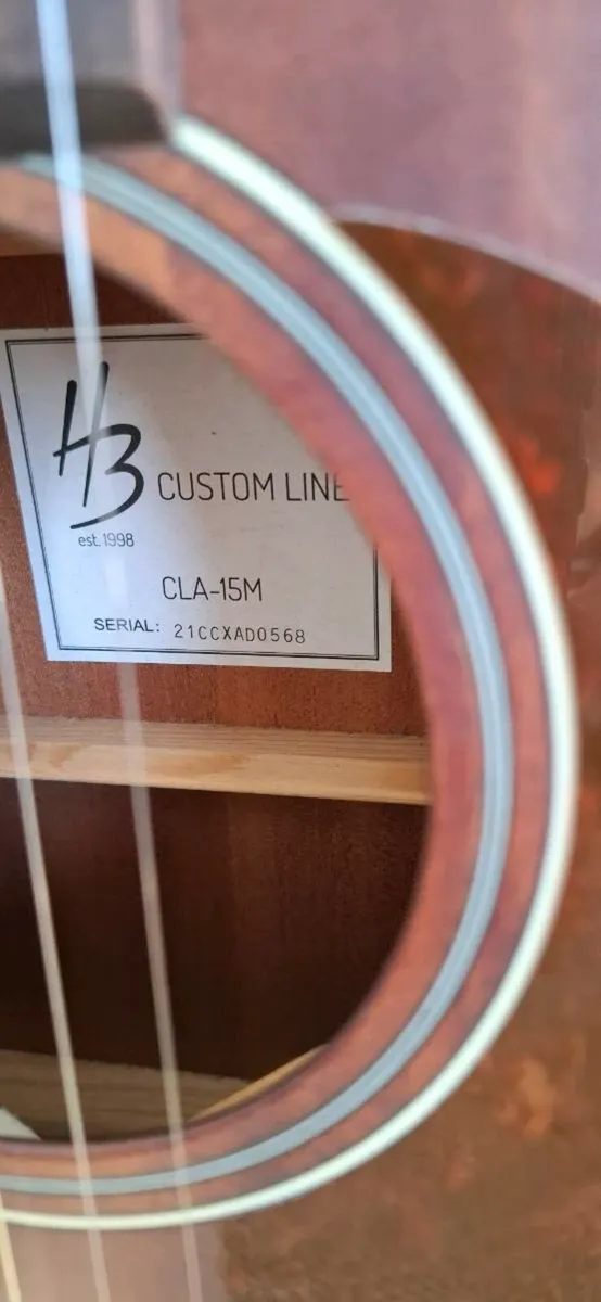 Guitar - Image 4