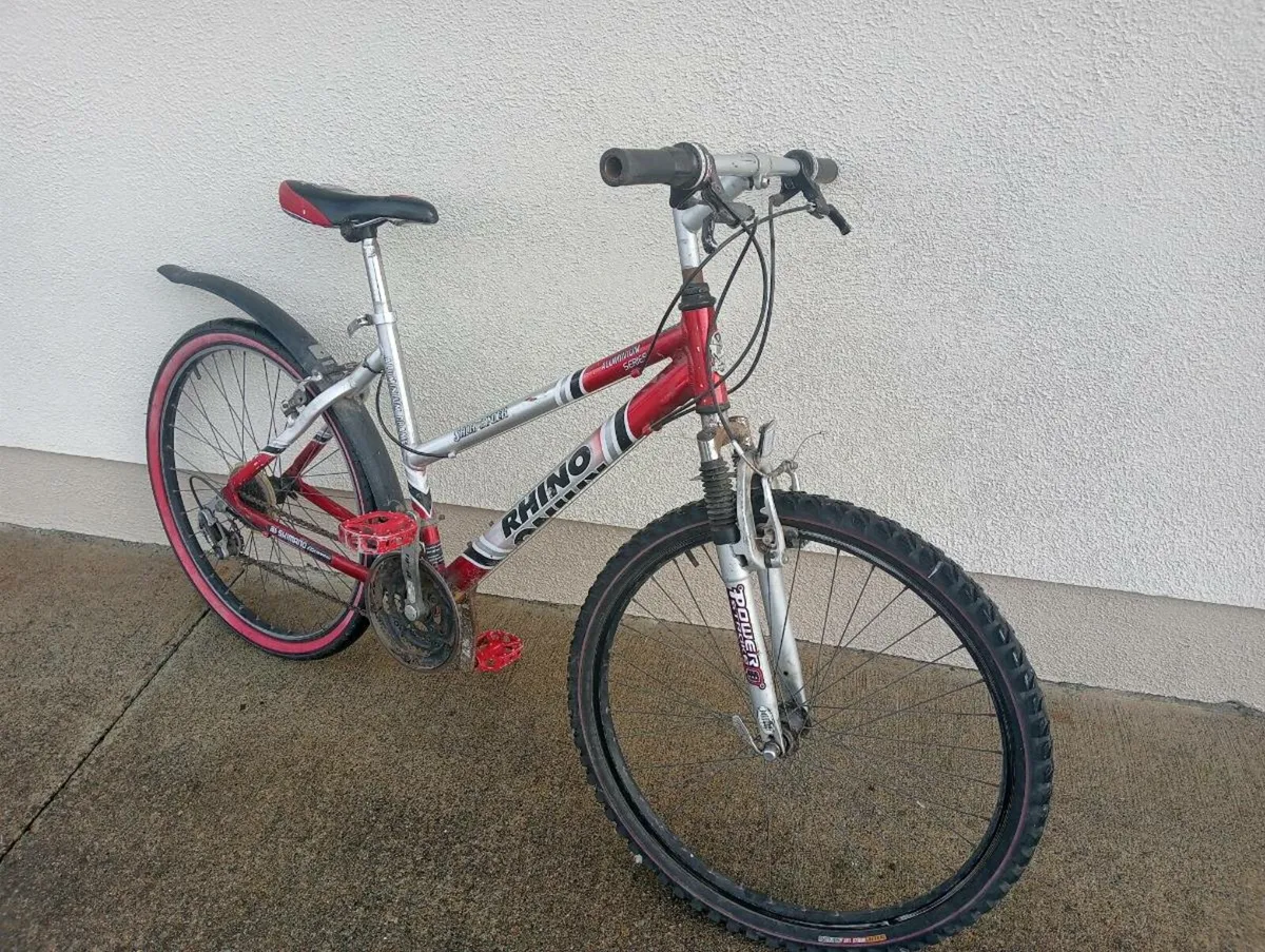 Mountain bike