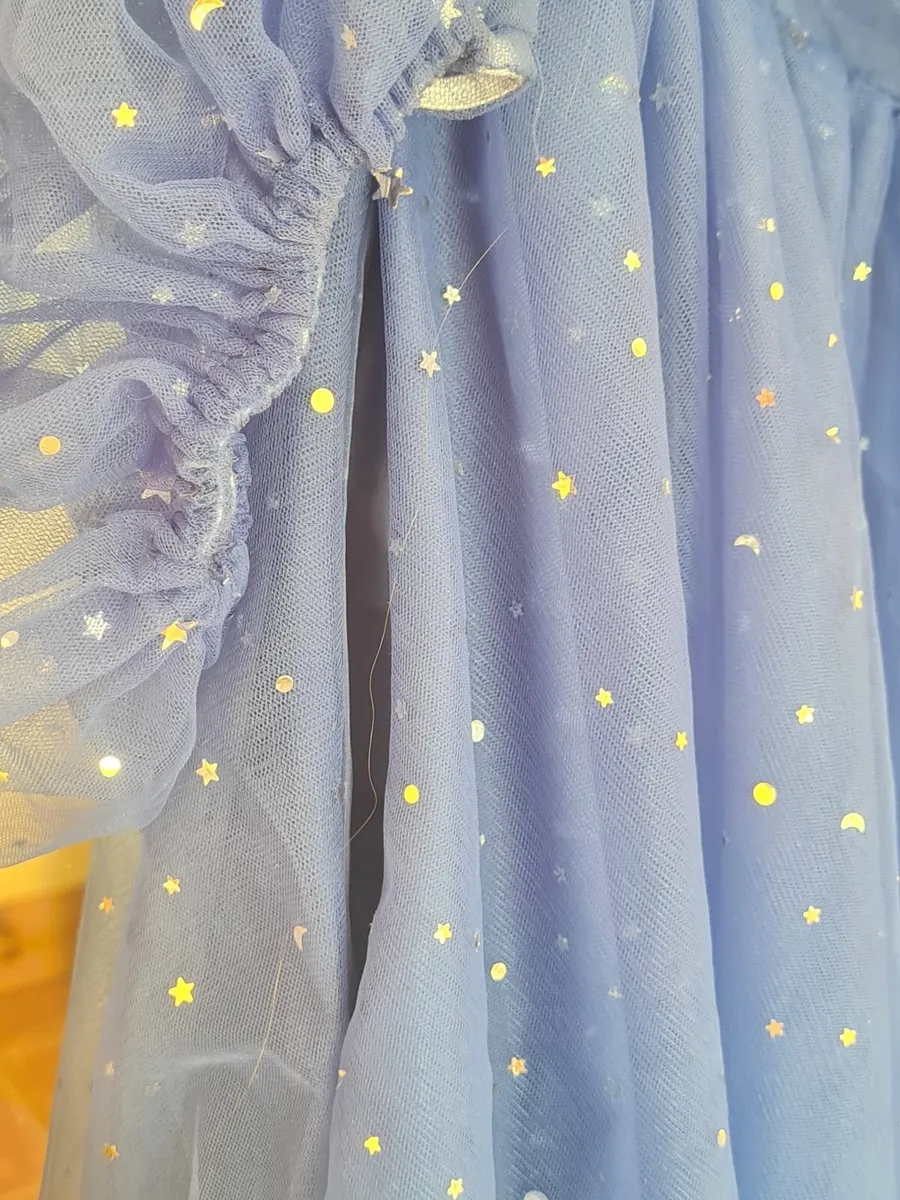 Ball/Prom Dress - Image 2
