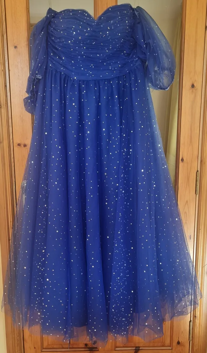Ball/Prom Dress - Image 1