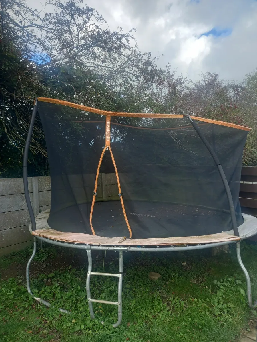 Trampoline Free